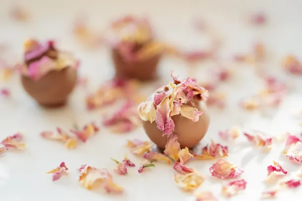 Kasino Palm Slots Android/iOS aplikace